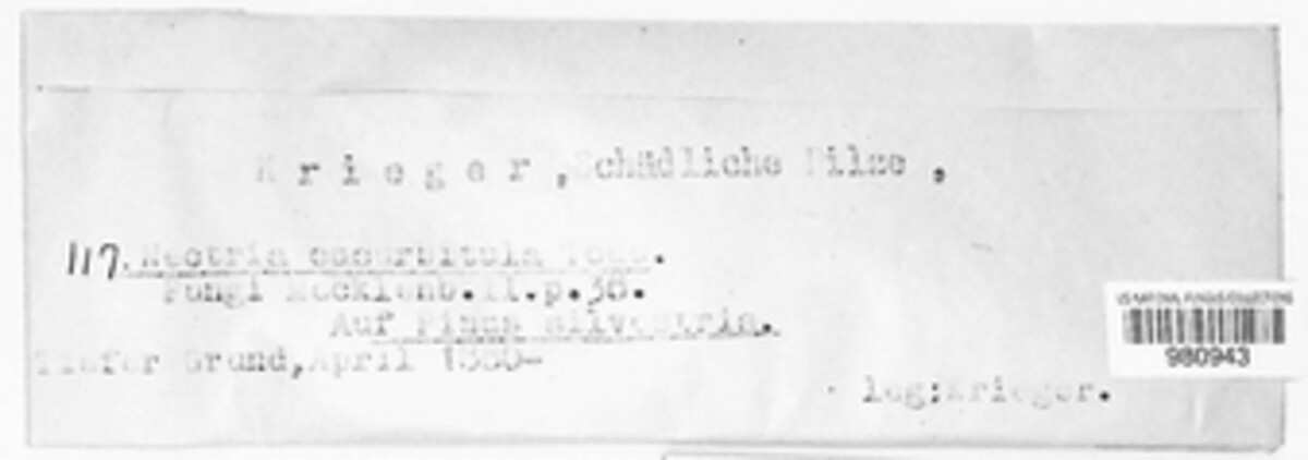 Corinectria fuckeliana image